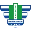 乌伦代大学